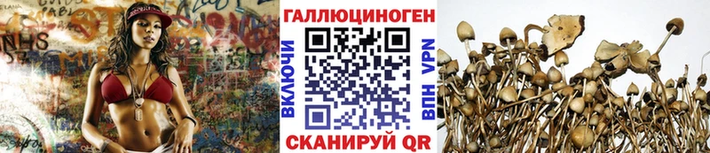 как найти закладки  kraken онион  Псилоцибиновые грибы Magic Shrooms  Ессентуки 