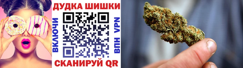 Каннабис сатива  Ессентуки 